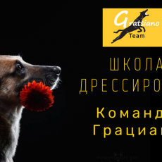 Видео-материалы (цены в украинской гривне)