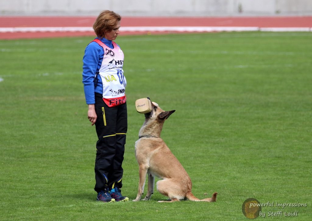 Чемпионат мира FMBB 2019